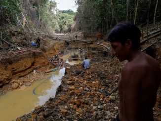 brasil amazonas genocidio indígena